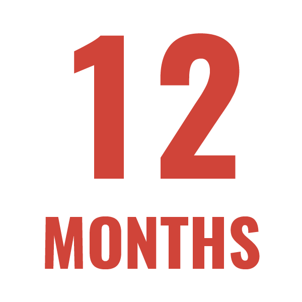 12 Months of Coaching Services - Paid In Full